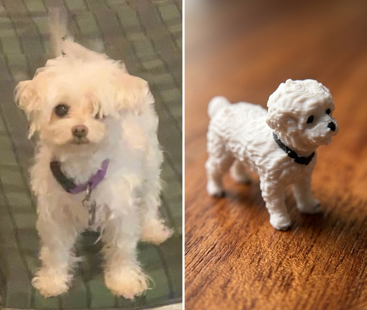 Pet Mini's